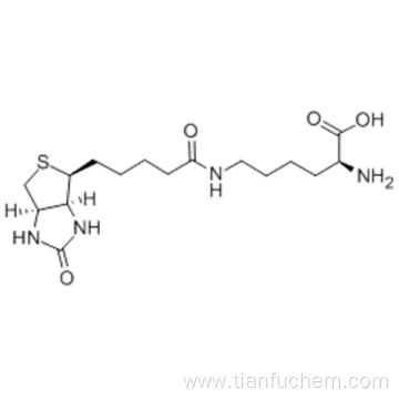 Biocytin CAS 576-19-2